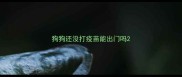 狗狗还没打疫苗能出门吗