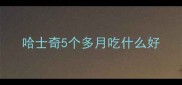 哈士奇5个多月吃什么好