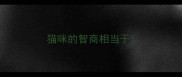 猫咪的智商相当于