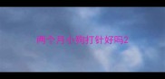 两个月小狗打针好吗