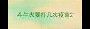 斗牛犬要打几次疫苗