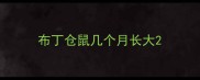 布丁仓鼠几个月长大