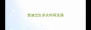 泰迪出生多长时间洗澡