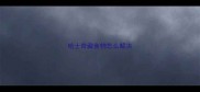哈士奇藏食物怎么解决