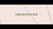 幼猫注射疫苗后发烧