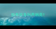 拉布拉多叫声响亮