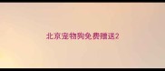 北京宠物狗免费赠送