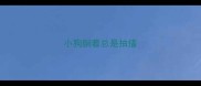 小狗躺着总是抽搐