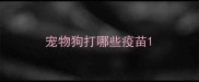 宠物狗打哪些疫苗