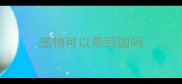 宠物可以带回国吗