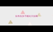 拉布拉多不呕吐只拉稀