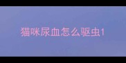 猫咪尿血怎么驱虫