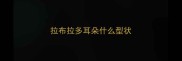 拉布拉多耳朵什么型状