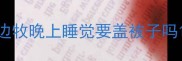 边牧晚上睡觉要盖被子吗