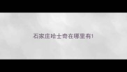 石家庄哈士奇在哪里有