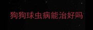 狗狗球虫病能治好吗