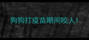 狗狗打疫苗期间咬人