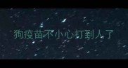 狗疫苗不小心打到人了