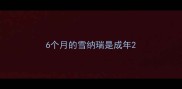 6个月的雪纳瑞是成年