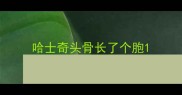 哈士奇头骨长了个胞