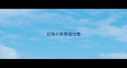 北海小体泰迪出售