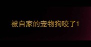 被自家的宠物狗咬了