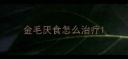 金毛厌食怎么治疗