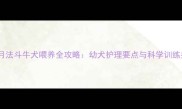 两个月法斗牛犬喂养全攻略幼犬护理要点与科学训练指南