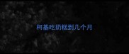 柯基吃奶糕到几个月