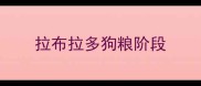 拉布拉多狗粮阶段