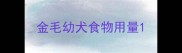金毛幼犬食物用量