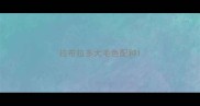 拉布拉多犬毛色配种