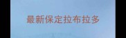 最新保定拉布拉多