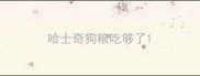 哈士奇狗粮吃够了