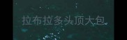 拉布拉多头顶大包