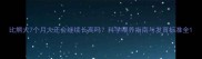 比熊犬7个月大还会继续长高吗科学喂养指南与发育标准全