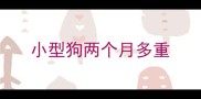 小型狗两个月多重