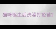 猫咪驱虫后洗澡打疫苗
