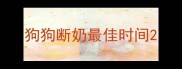 狗狗断奶最佳时间