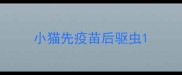 小猫先疫苗后驱虫