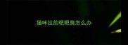 猫咪拉的粑粑臭怎么办