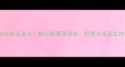 狗狗细小能活多久细小病毒存活率护理方法及生存期全