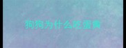 狗狗为什么吃蛋黄