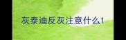 灰泰迪反灰注意什么