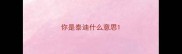 你是泰迪什么意思