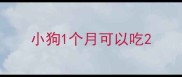 小狗1个月可以吃