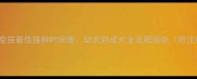 狗狗六联疫苗最佳接种时间表幼犬到成犬全流程指南附注意事项