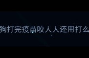狗打完疫苗咬人人还用打么