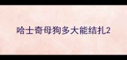 哈士奇母狗多大能结扎