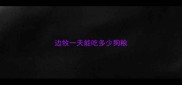 边牧一天能吃多少狗粮